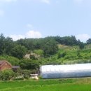 정골농장 이미지