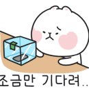 수학노리터학원 네이버블로그