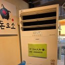 제주도야지 파주운정점 | [파주 운정 맛집] 육즙 터지는 제주흑돼지 전문점 '돈오소 운정직영점' 솔직 후기 🥩