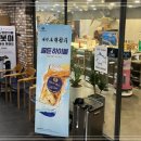 싱싱꼬기 이미지