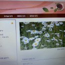 우리집喜