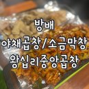 방배 왕십리 중앙곱창 | 🥘 [방배] 왕십리중앙곱창 : 방배역 먹자골목 맛집 야채곱창과 소금막창의 찐 매력