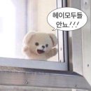 프롬여닝