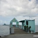 오늘머린 이미지