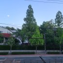 길세이로무시 대연점 이미지