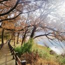 호정농장 이미지