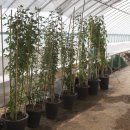 원농장1 이미지