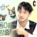 냥집사 이미지