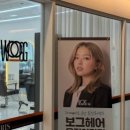 도도헤어보그