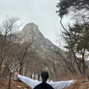 성수일가 이미지