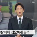 YTN 이미지