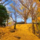 홍천강RIO펜션 이미지