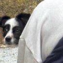 가현산2 등산로 공중화장실 | 울산 간월재 영남알프스 쉬운코스 사슴농장코스 꿀팁 주차꿀팁 11월 주말후기