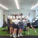 바디핏 이미지