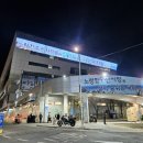[노량진 수산시장 - 영호남수산/바다회센타] 방어회