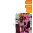 두 번씩이나 이 거지 같은 도시에 버려지다니