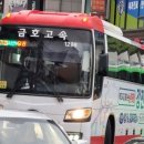 EURO MOTORS 이미지