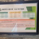스윔슐레(세종캠퍼스) 네이버블로그