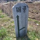 신원목장 이미지