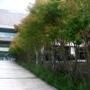 조경디자인린주