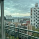 서울 경기 수원 아파트 유리창 청소 전문 업체 윈도우프렌즈 후기 가격