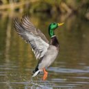 천둥노래연습장 이미지