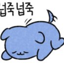 미사서울동물병원 이미지