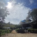 수인로지하차도 이미지