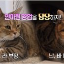 라라농장 이미지