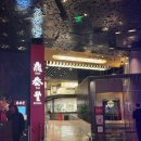 MGM관광호텔 | 언니랑 엄마랑 세 모녀의 라스베가스여행 / Park MGM - 스피어 공연