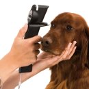 24시 아이동물메디컬센터 이미지