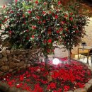 탐라포차 둔산점 이미지