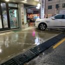 토종흑염소 | 일산 백석동보양식 &#39;팔영산 토종 흑염소&#39;