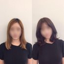 리벨로 네이버블로그