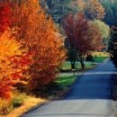 풍경세탁 이미지