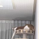 다은이네국밥집 이미지
