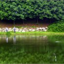 물수제비 이미지