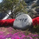 빙그레공원