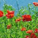 직업상담사 필기 - 노동시장론 이미지