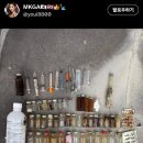 소굴 이미지