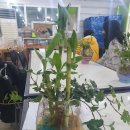 수경꽃집 이미지