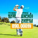 원픽투어 이미지