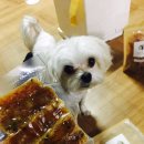 룰루네 식탁 이미지