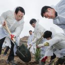 소통하는 나무 이미지