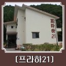 프라하21 펜션 이미지