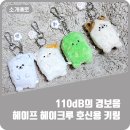 헤이크 이미지