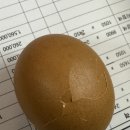 삼성식육마트 이미지