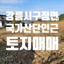 강릉부동산오늘 공인중개사사무소 이미지