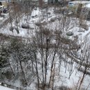 늘푸른 크리닝 이미지