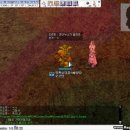 천귀사 Daum카페